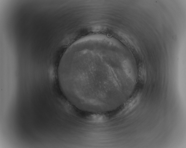 X0000102520272200808151539