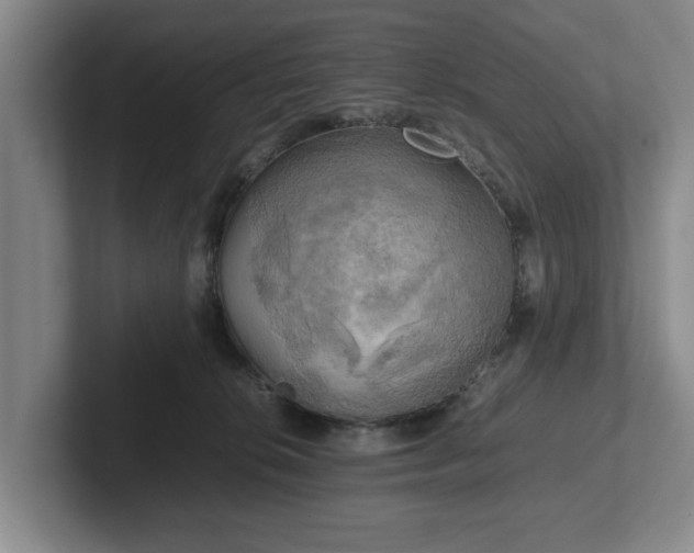 X0000102520276200808151539