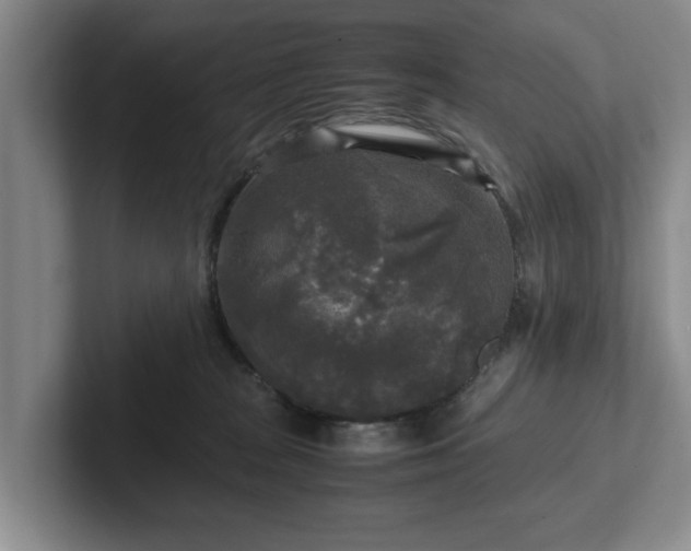 X0000102520277200808151539