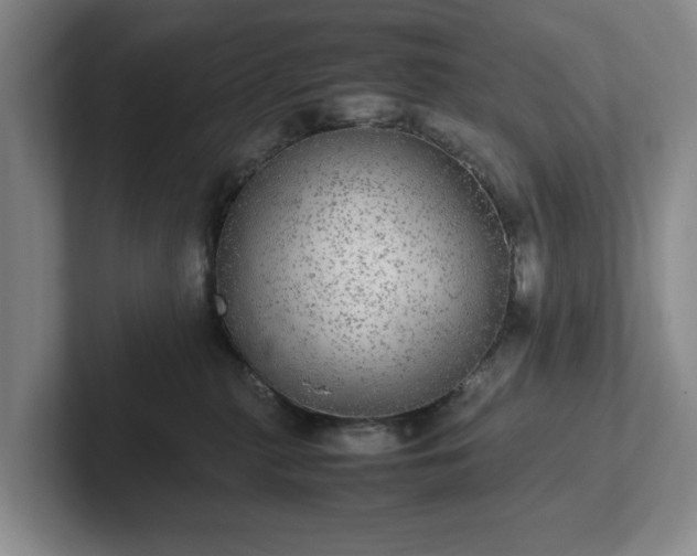 X0000102520279200808151539