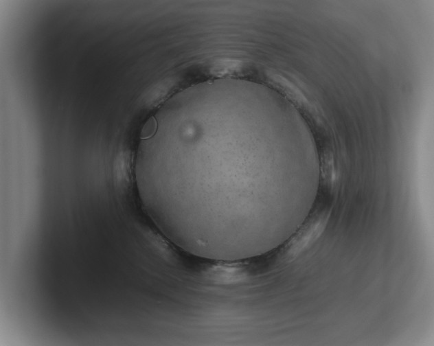 X0000102520280200808151540