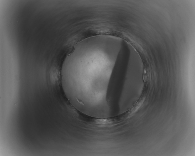 X0000102520281200808151540