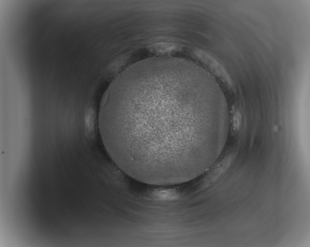 X0000102520283200808151540