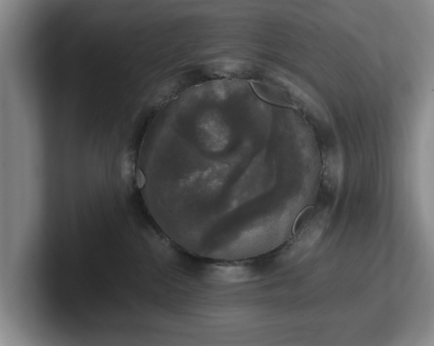 X0000102520284200808151540