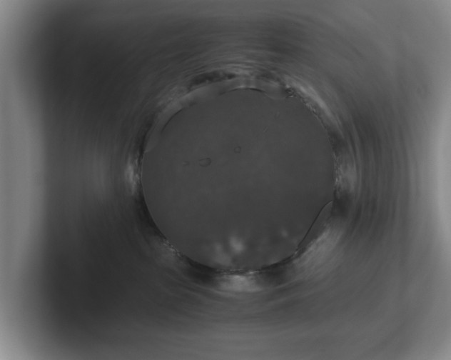 X0000102520285200808151540