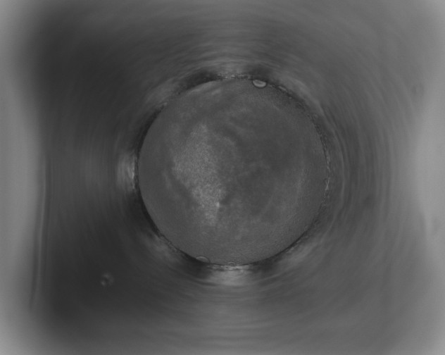 X0000102520288200808151540