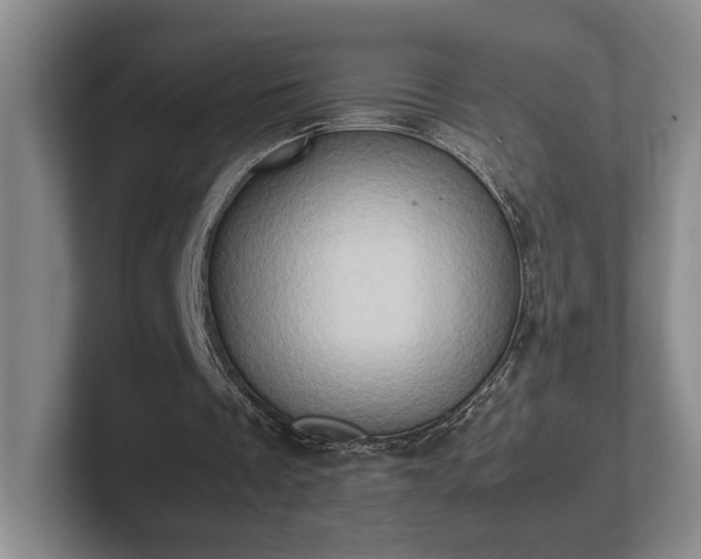 X0000102520289200808151539