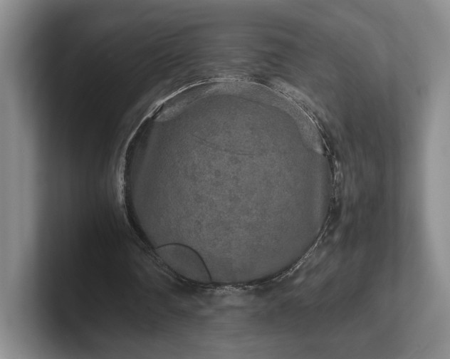 X0000102520290200808151539