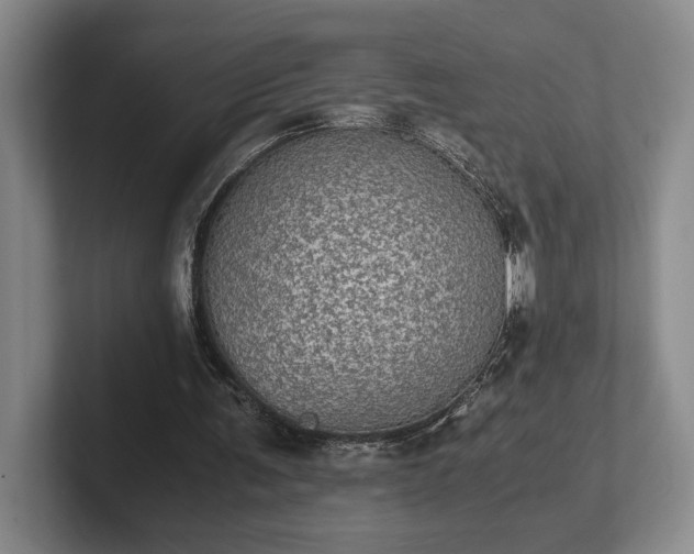 X0000102520291200808151539