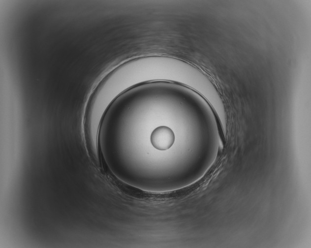 X0000102520292200808151539