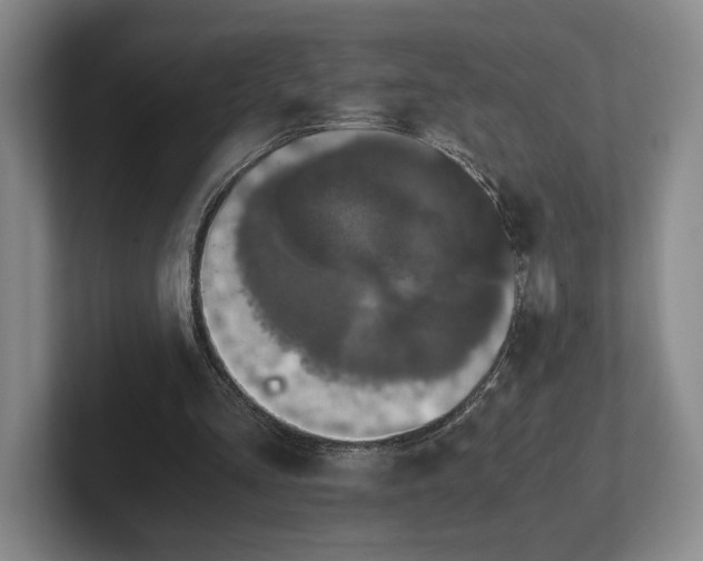 X0000102520293200808151539