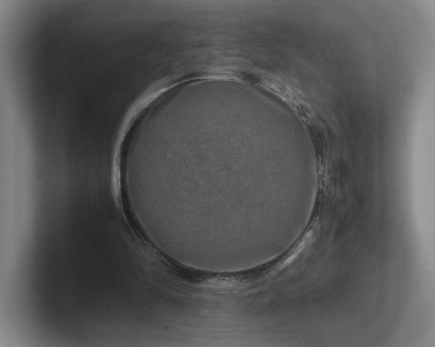 X0000102520294200808151539