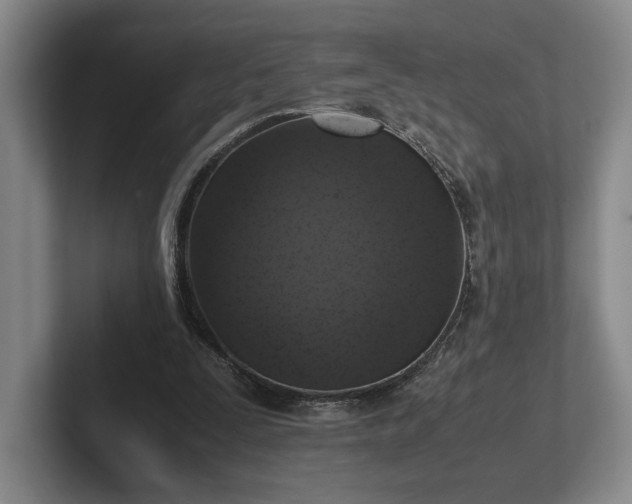 X0000102520295200808151539