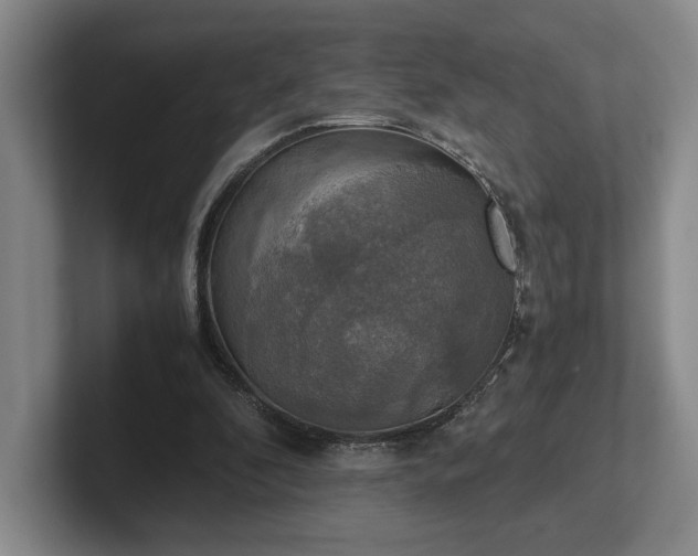 X0000102520296200808151539