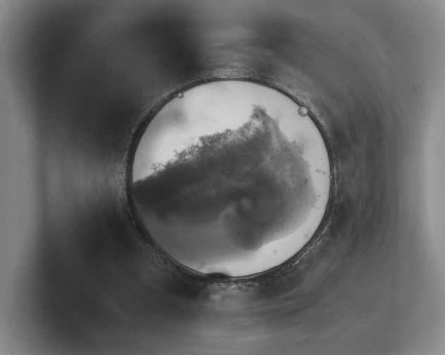 X0000102520297200808151539