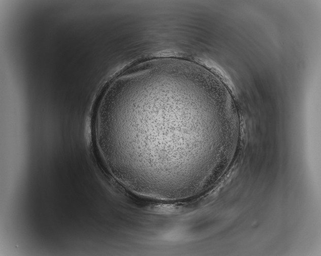 X0000102520298200808151539