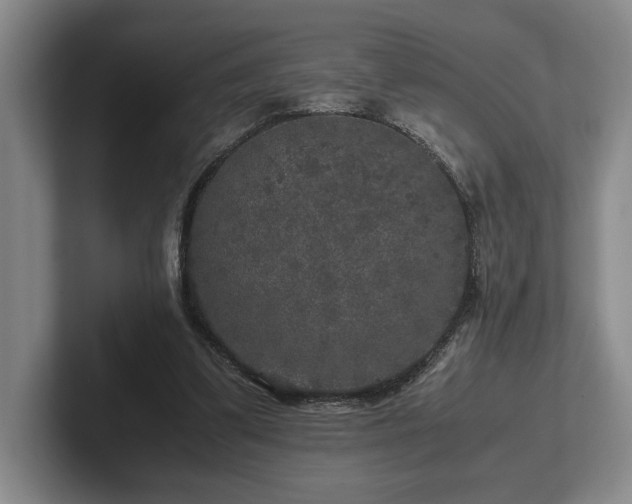 X0000102520299200808151539