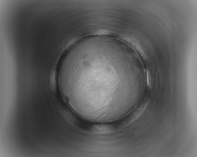 X0000102520300200808151539