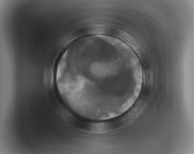 X0000102520301200808151539