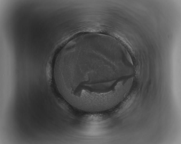 X0000102520303200808151539