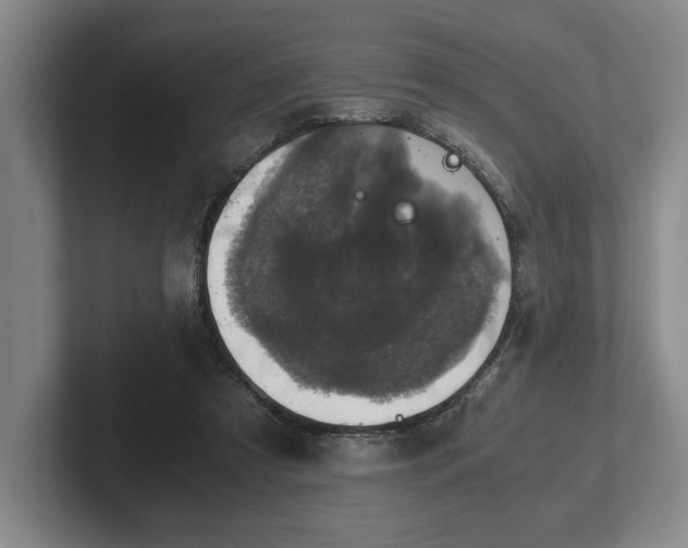 X0000102520305200808151539