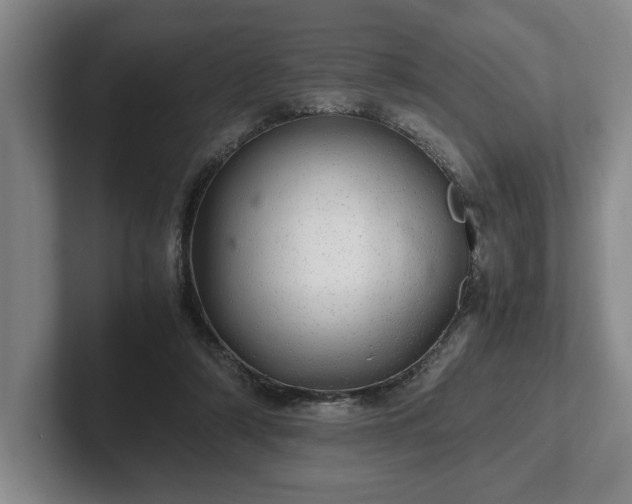 X0000102520306200808151539