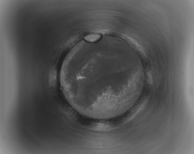 X0000102520308200808151539