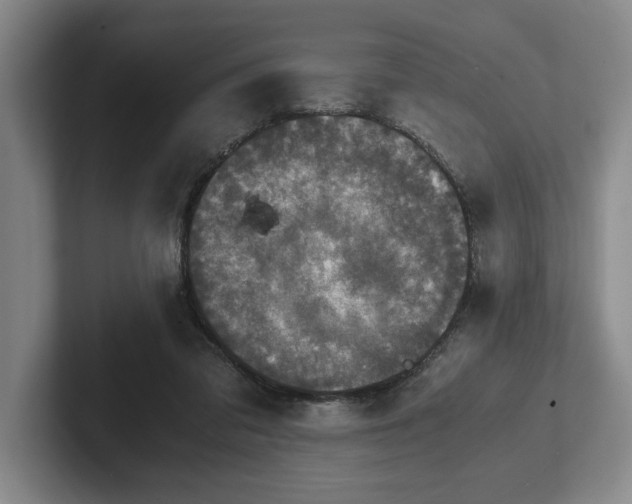 X0000102520309200808151539