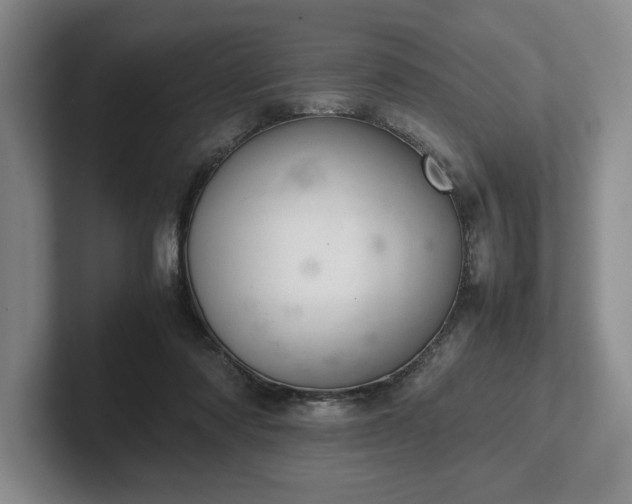 X0000102520310200808151539