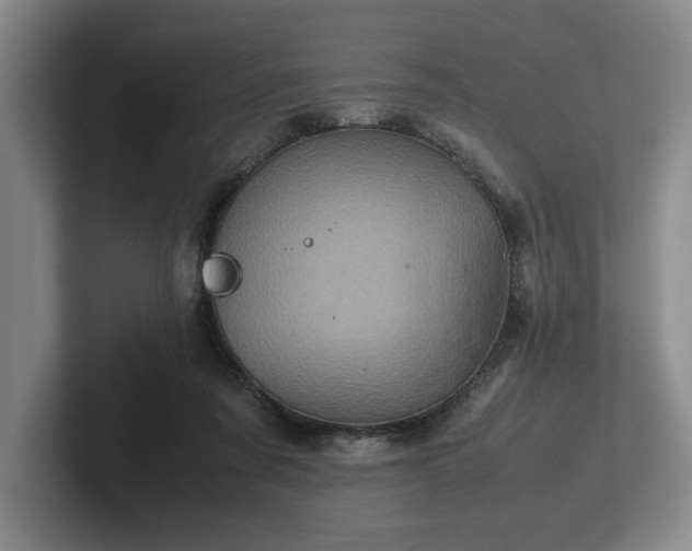 X0000102520311200808151539