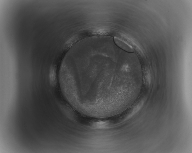 X0000102520312200808151539