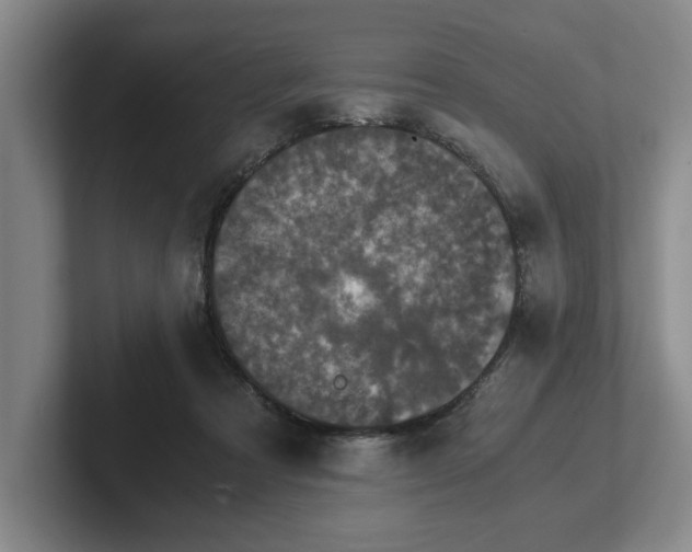 X0000102520313200808151539