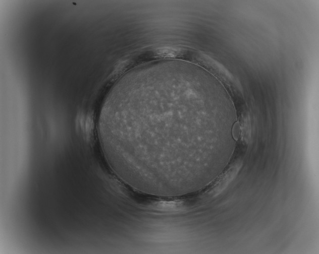 X0000102520314200808151539