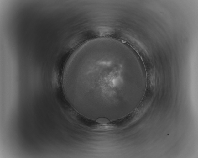 X0000102520316200808151539