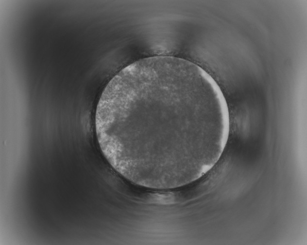 X0000102520317200808151539