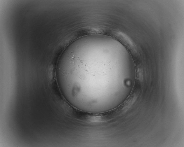 X0000102520318200808151539