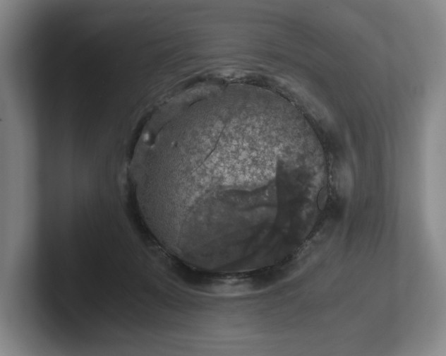 X0000102520319200808151539