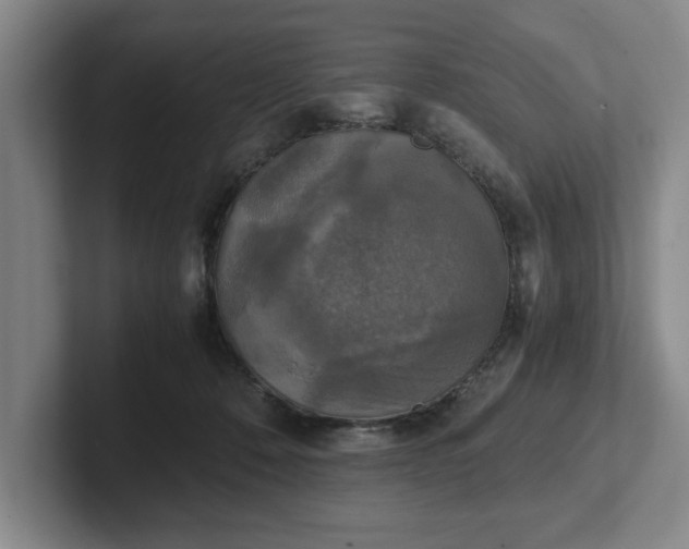 X0000102520320200808151539