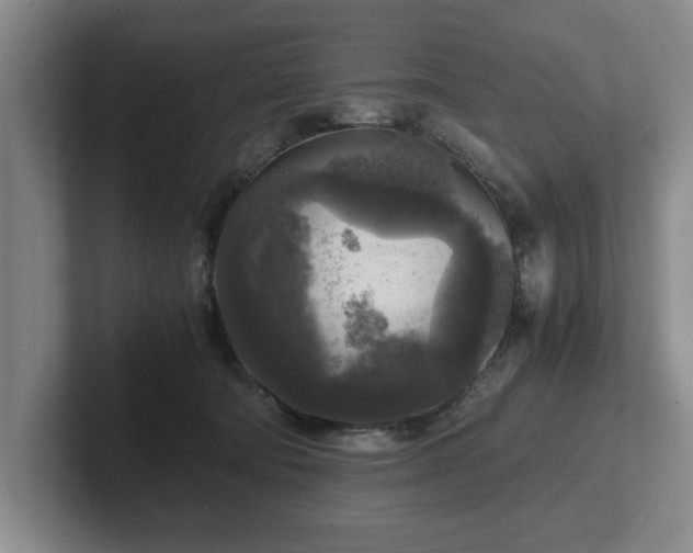 X0000102520322200808151539