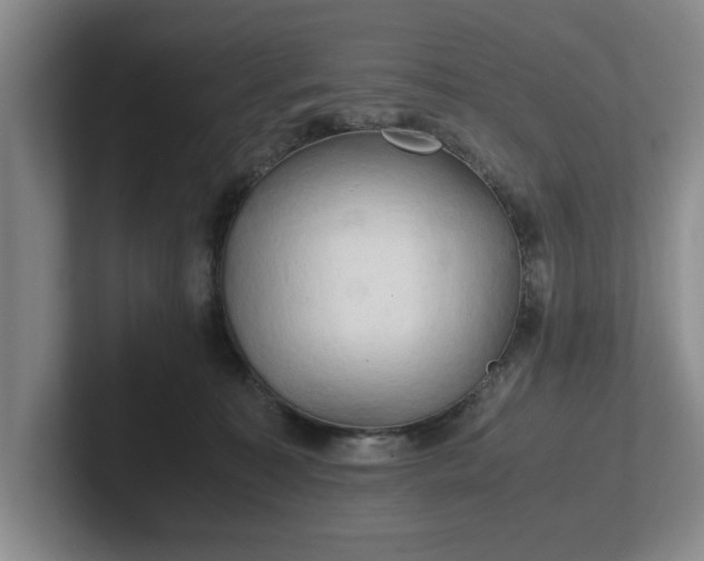 X0000102520323200808151538