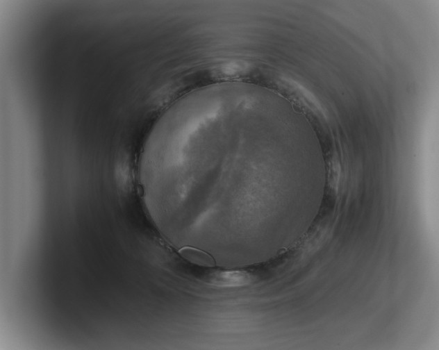 X0000102520324200808151538