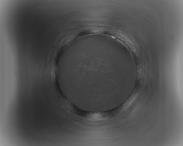 X0000102520325200808151538