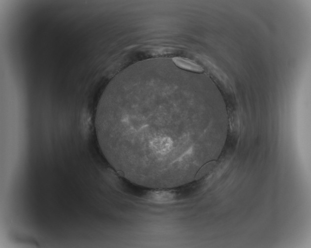 X0000102520327200808151538