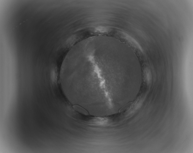 X0000102520328200808151538