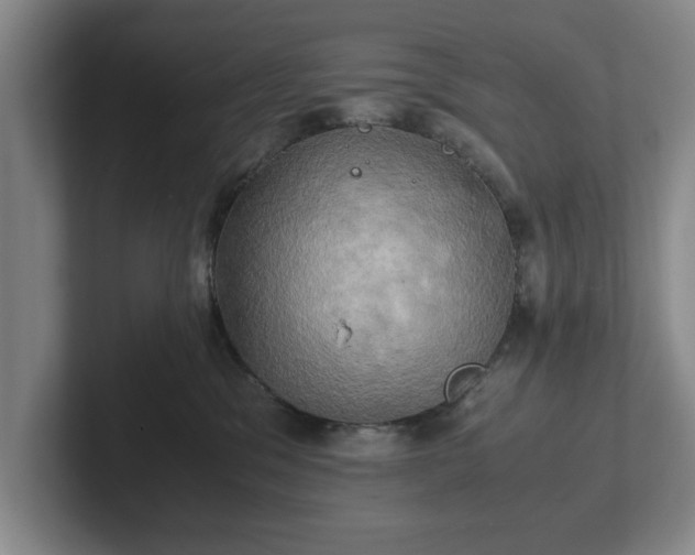 X0000102520329200808151538