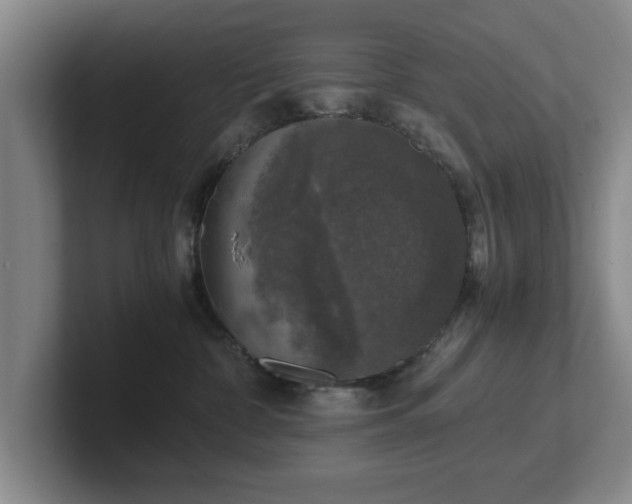 X0000102520332200808151538