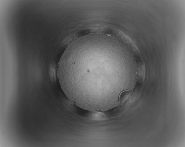 X0000102520333200808151538