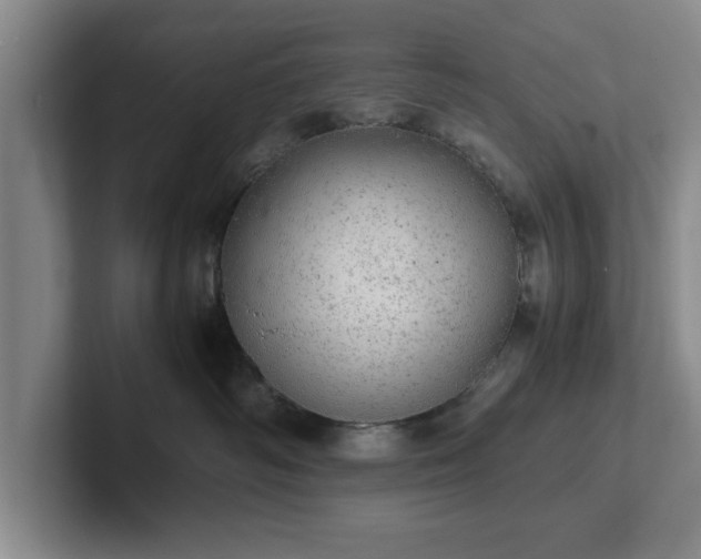 X0000102520334200808151538