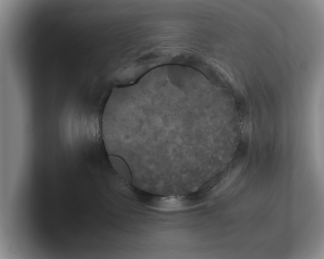 X0000102520335200808151538