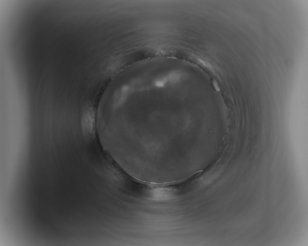 X0000102520336200808151538